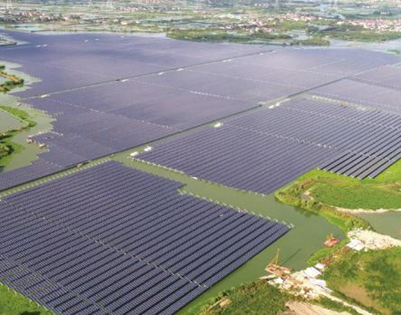 Fishery-PV Complementary Power